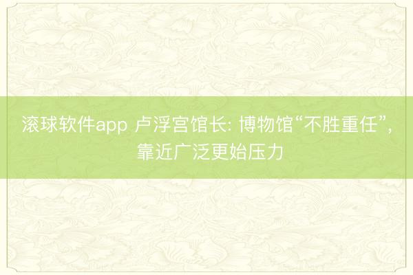 滚球软件app 卢浮宫馆长: 博物馆“不胜重任”, 靠近广泛更始压力