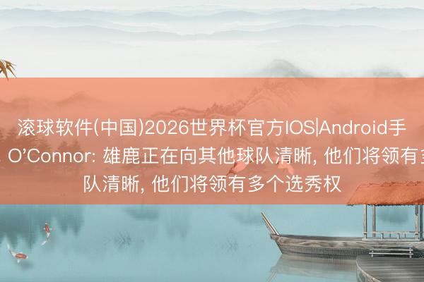 滚球软件(中国)2026世界杯官方IOS|Android手机app下载 O'Connor: 雄鹿正在向其他球队清晰, 他们将领有多个选秀权