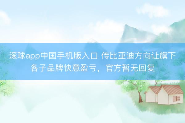 滚球app中国手机版入口 传比亚迪方向让旗下各子品牌快意盈亏，官方暂无回复