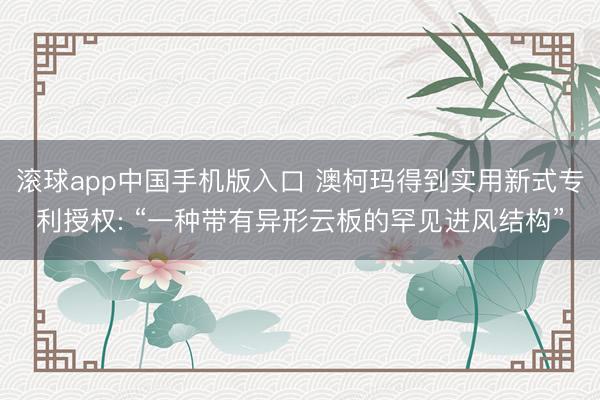 滚球app中国手机版入口 澳柯玛得到实用新式专利授权: “一种带有异形云板的罕见进风结构”
